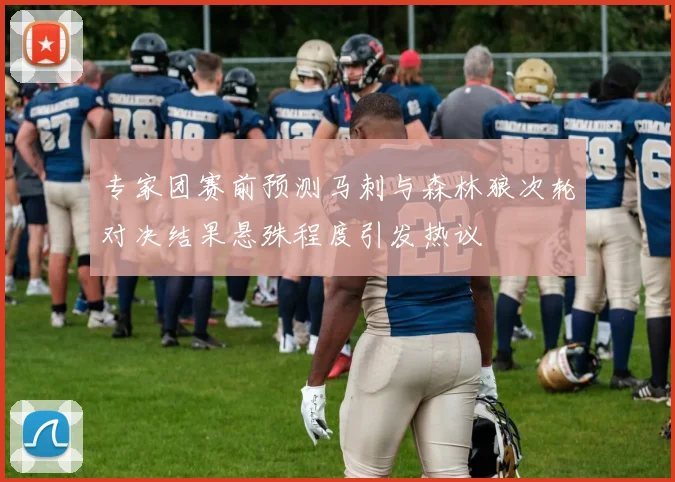 专家团赛前预测马刺与森林狼次轮对决结果悬殊程度引发热议